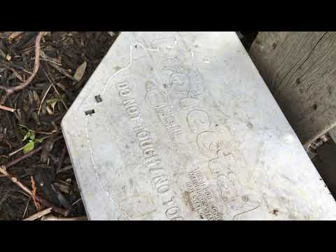 Ants Overrun Rodent Bait Station in Plainsboro, NJ