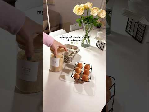 since doing this I haven’t seen a roach in over a YEAR!! 🫶🏼 recipe in the comments 🤍✨🏡