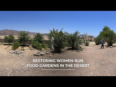 Restoring women-run food gardens in the desert