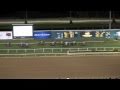 A Day At The Horse Races - Lone Star Park ...