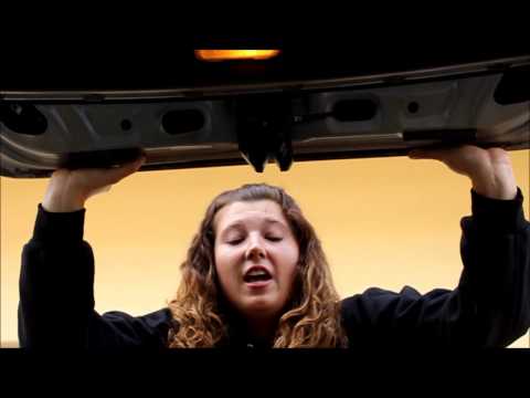 Quentin Tarantino Project