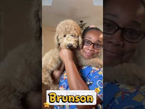 Thumbnail for Brunson's video