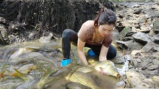 Amazing Fishing / Hunting Wild Fish / Unique Fishing / Fishing Techniques Catches Many Big Fish