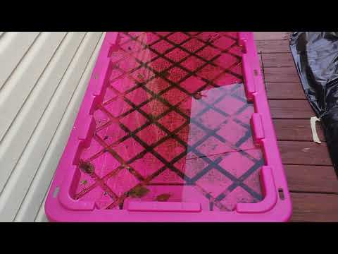 Standing Water in Buckets Are Breeding Grounds for Mosquitoes in Dayton, NJ