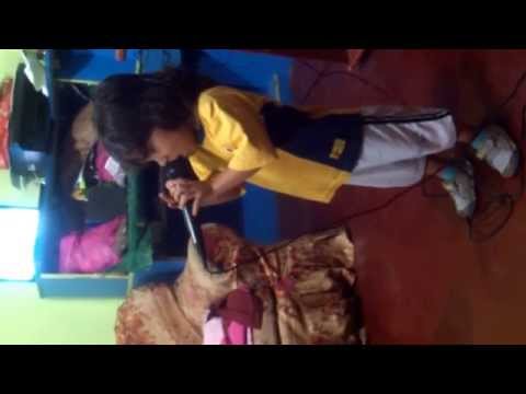 bebe cantante de corazon serrano patrick