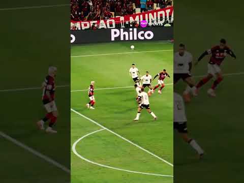ARRASCA E LINO = COMBINAÇÃO QUE FUNCIONA! #shorts