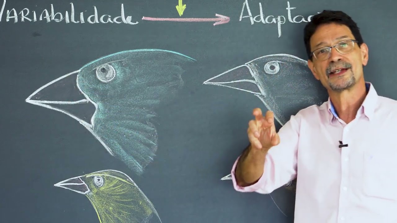 Darwinismo e Seleção Natural (Evolução - EP3) I Biokrill Séries