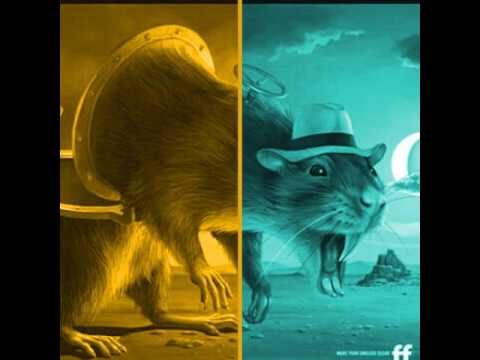 Diana Valentina Rueda Parra