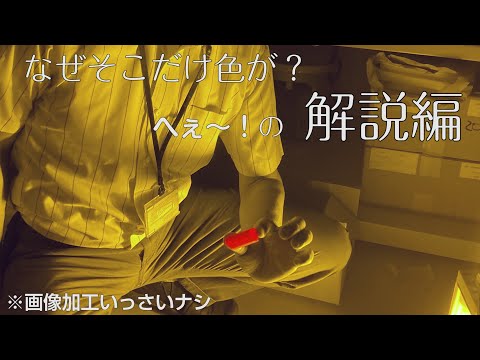 白色矮星を実験室で模倣:研究者は物質の「エキゾチックな」状態を作り出す