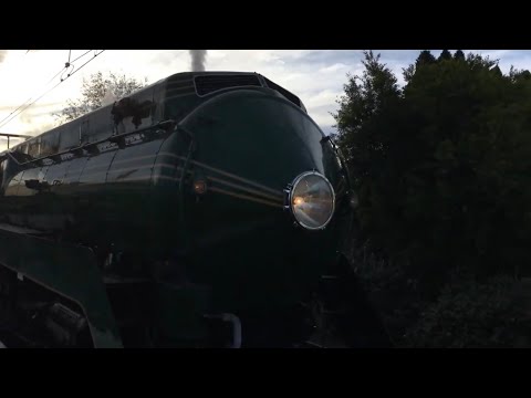 Hydro Express to Katoomba, feat. 3801, 4201, 4490 and V sets