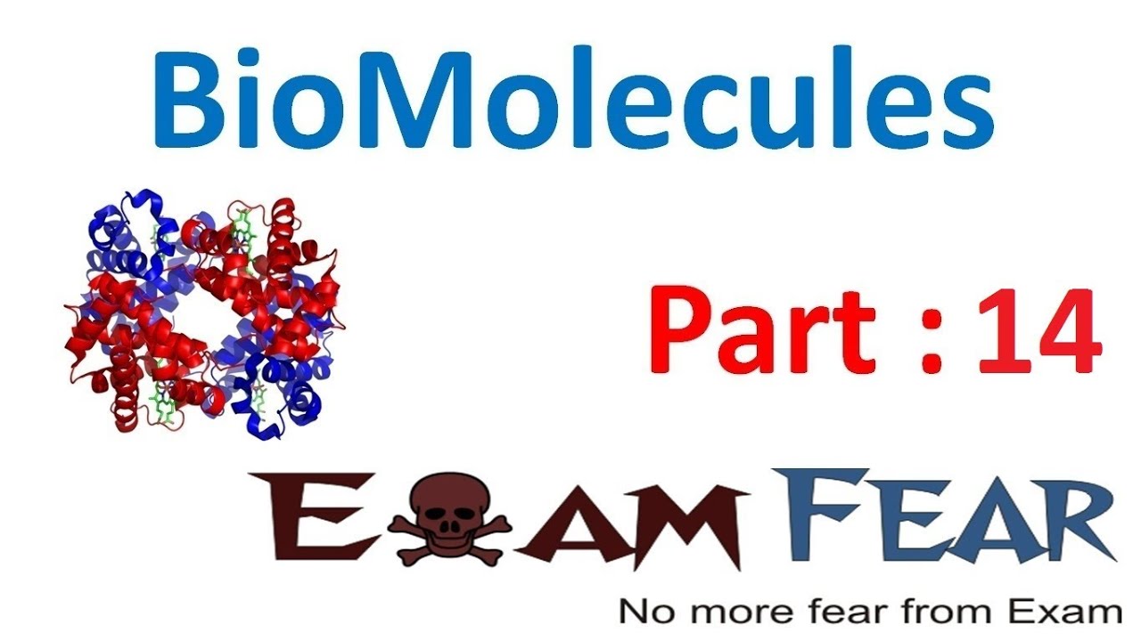 Chemistry Biomolecules part 14 (Proteins: zwitter ions, optical activity) CBSE class 12 XII