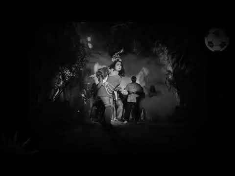 KANTA LAGA || Talking Tom 😻😻||