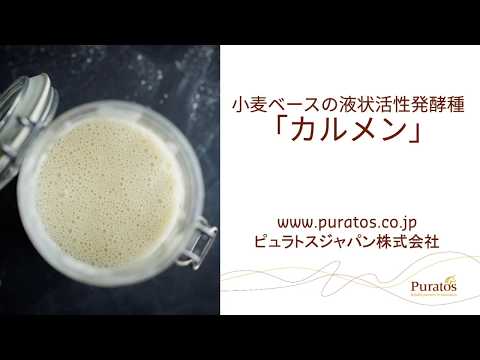 Semilla fermentada a base de trigo “Carmen”