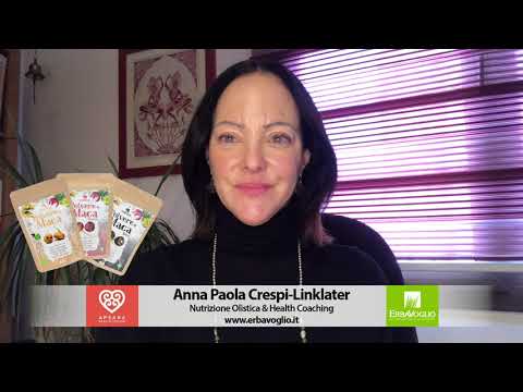 The Differences of Maca (Yellow, Red, and Black) - A Superfood that is an Adaptogen