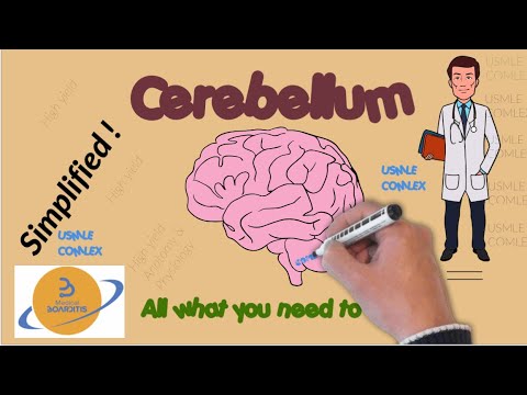 CEREBELLUM |Anatomy|Function|How to answer all board questions in 15 minutes? USMLE,COMLEX,NCLEX .