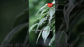 Download lagu Ae dil mujhe aisi jaga #1950s #bollywoodsongs #hindisong mp3