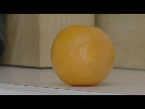 Annoying Orange but you took your schizophrenia meds