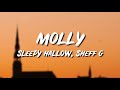 Sleepy Hallow Ft Sheff G Molly Lyrics