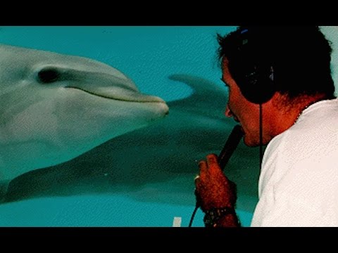 In the Wild: Dolphins with Robin Williams