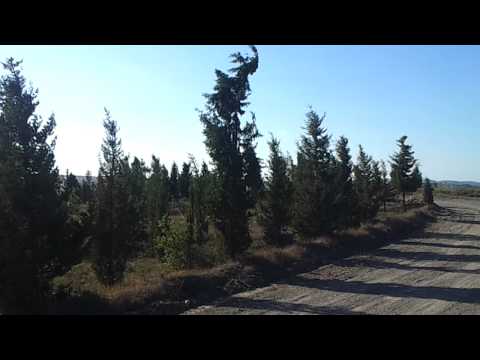 Boğaziçi Rallisi  alı gulan