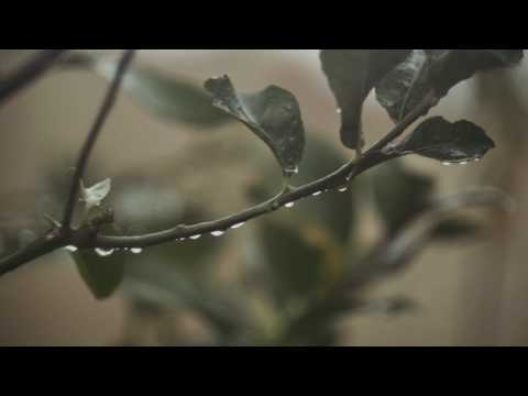 Brandon & Gonzalez - It Never Rains (Feat. Marija Stankovska)