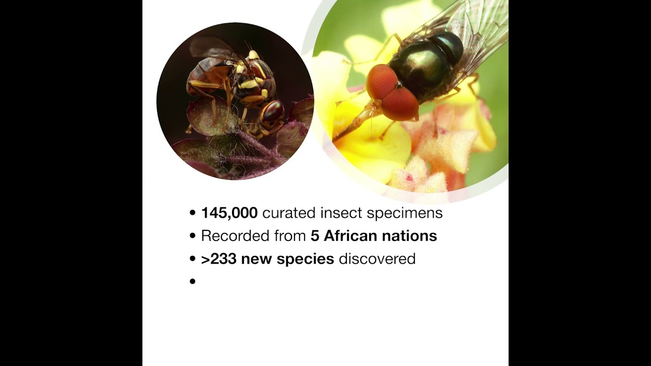 international day of biodiversity 2025