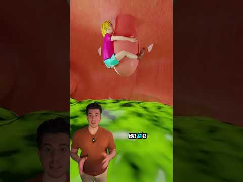 Ce să faci dacă te înghite megalodonul?