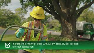 Commercial Tree Storm Prep