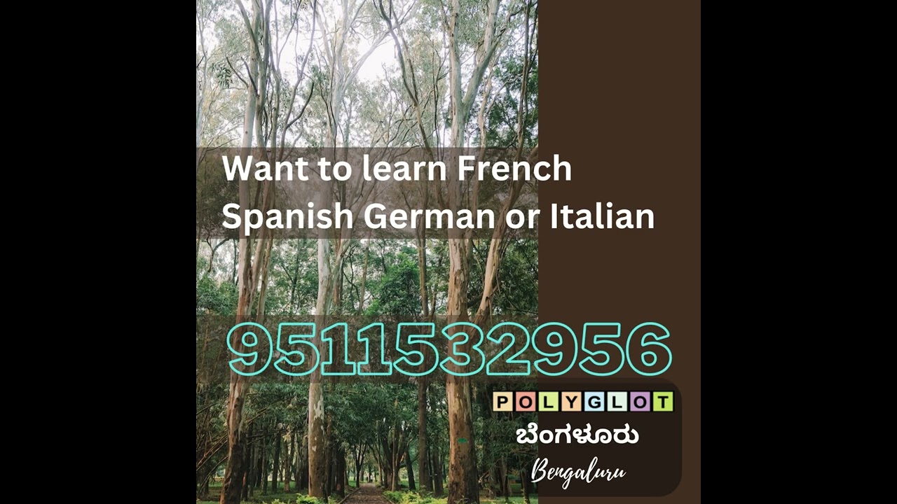 Study Abroad Consultation, Learn Foreign Languages, Prepare For IELTS TOEFL, Classes For IBDP IGCSE!