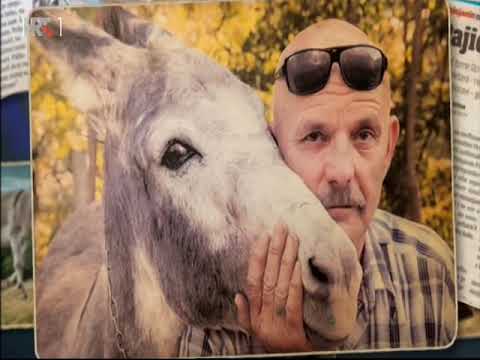 DONKEY RACE  - TRKA MAGARACA U HRVATSKOJ