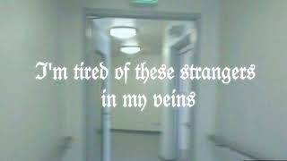 flower face — morphine dreams (lyrics)