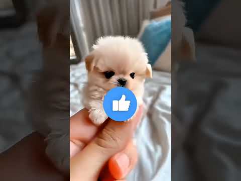 She Slid Into a Mall?! 😳 #shorts #viral