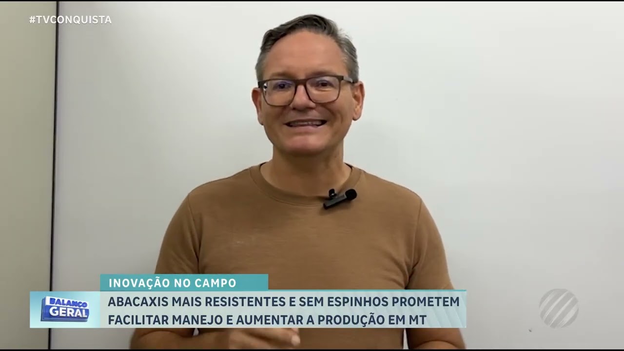 Unemat lança novas variedades de abacaxi mais produtivas em Mato Grosso