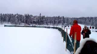 preview picture of video 'Reindeer race at the Jokkmokk Winter Market 2014'