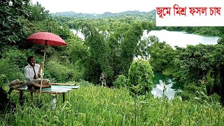 জুমে মিশ্র ফসল চাষ