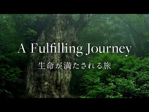 [屋久島 | Yakushima] A Fulfilling Journey | 生命が満たされる旅 [Commercial] [4K]