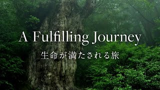 [Yakushima] [4K/Commercial] A Fulfilling Journey | 生命が満たされる旅