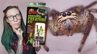 BRUTALLY HONEST Jumping Spider Kit REVIEW!.. Zoo Med’s NEW Large Arboreal Creature Kit