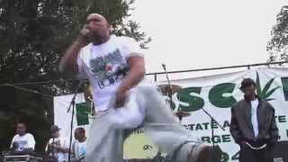 Onyx &quot;Throw ya Gunz in the air&quot; live @ the 21rst annual Boston Freedom Rally