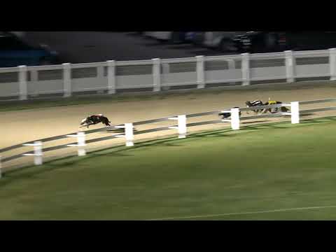 2020.10.02. 01. futam - European Derby Select Stake S1/S2