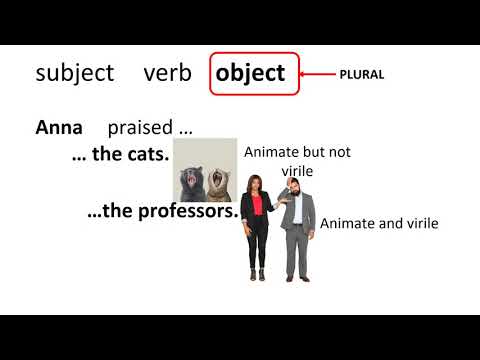 Slavonic sample lecture 'Animacy & virility in Slavonic' by Ksenia Zanon.