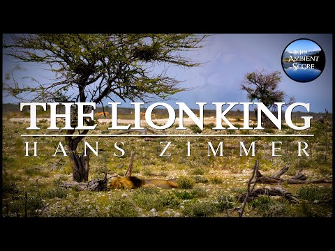 The Lion King | Calm Continuous Mix