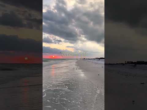 Capturing & Sharing Siesta Key Beach Life part#6