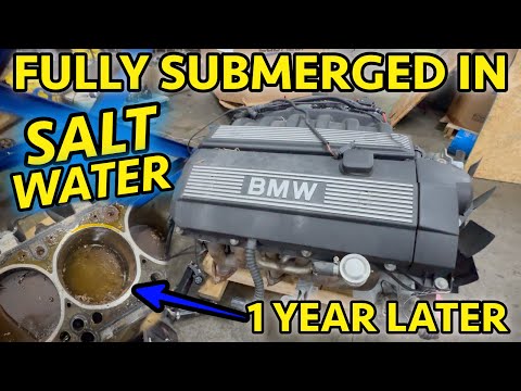 FLOODED BMW Z3 M52 2.8L Engine Teardown 1 Year After Hurricane. Did Anything Survive?