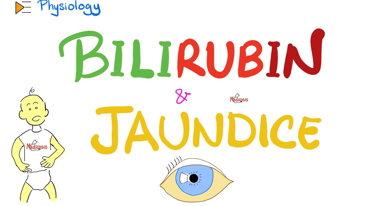 Bilirubin Metabolism & Jaundice - Gastrointestinal (GI) Physiology & Pathology- Physiology Series
