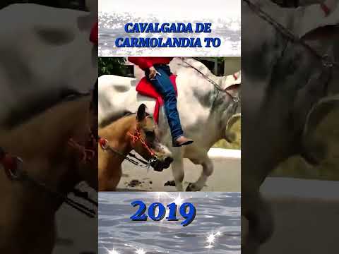 cavalgada de Carmolândia Tocantins 2019