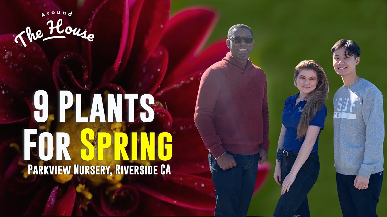 9 Plants to Grow in Your Spring Garden | Parkview Nursery