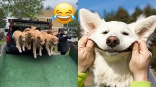 Miniature vidéo