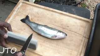 JTO #137 : HOW TO CLEAN FISH EASY: TROUT