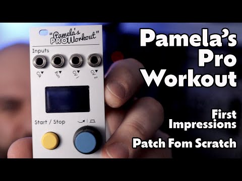 Pamela's Pro Workout - First Impressions
